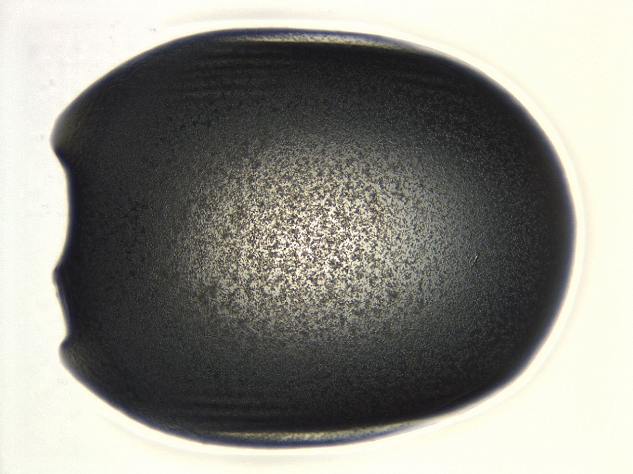 0493_B2_ImagerDefaults_3.jpg
