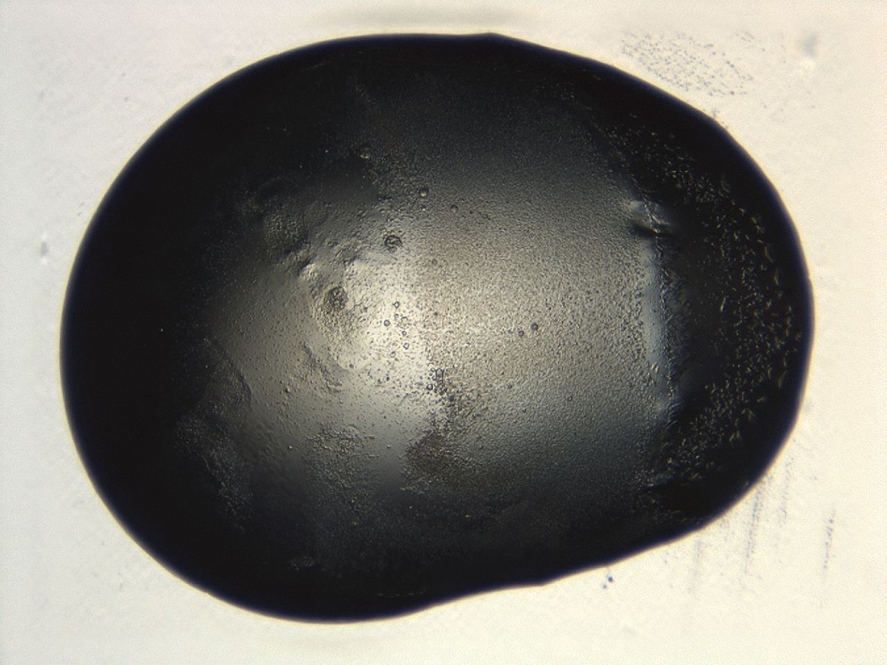 0493_B3_ImagerDefaults_9.jpg