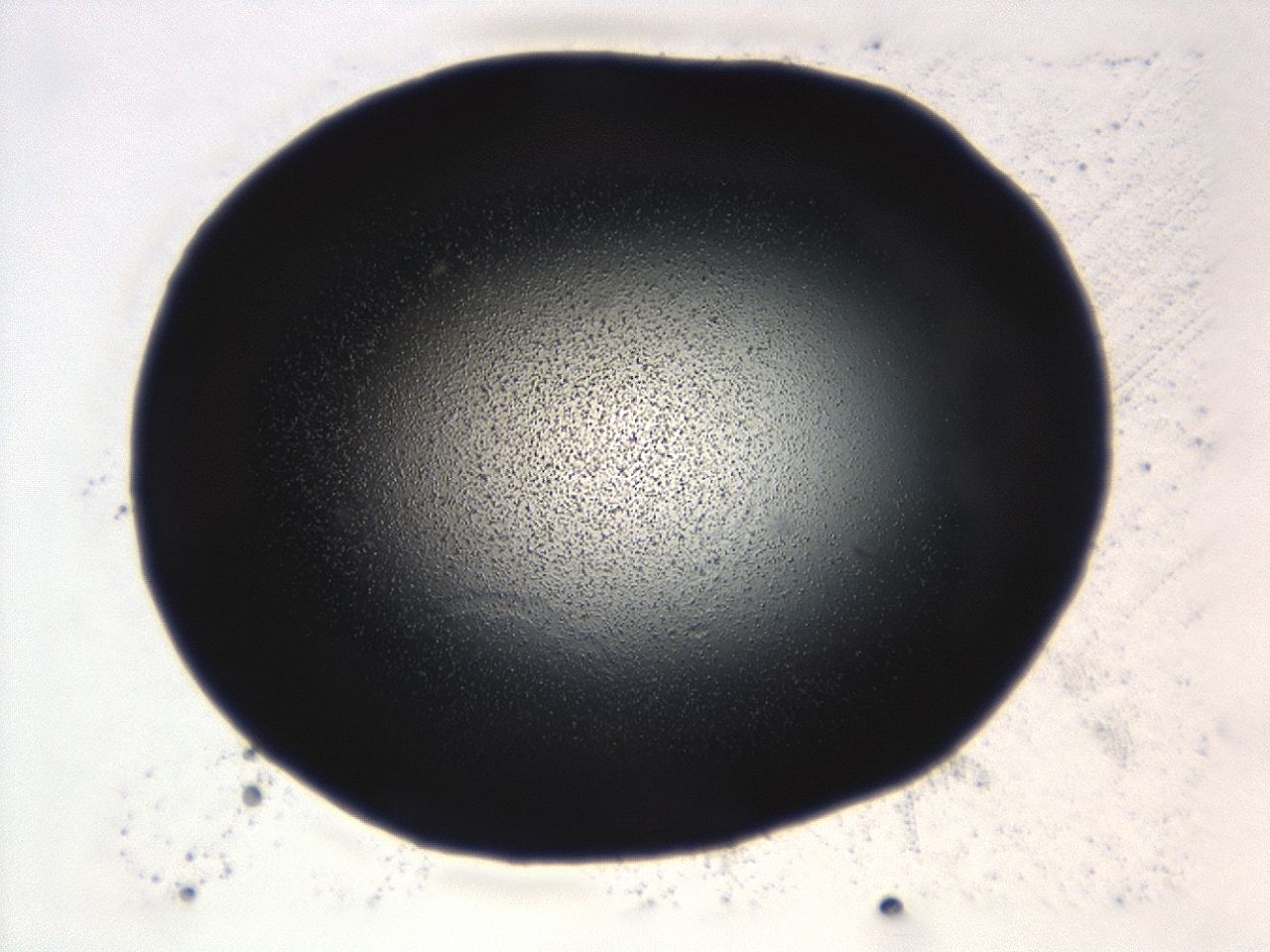 0493_B5_ImagerDefaults_3.jpg