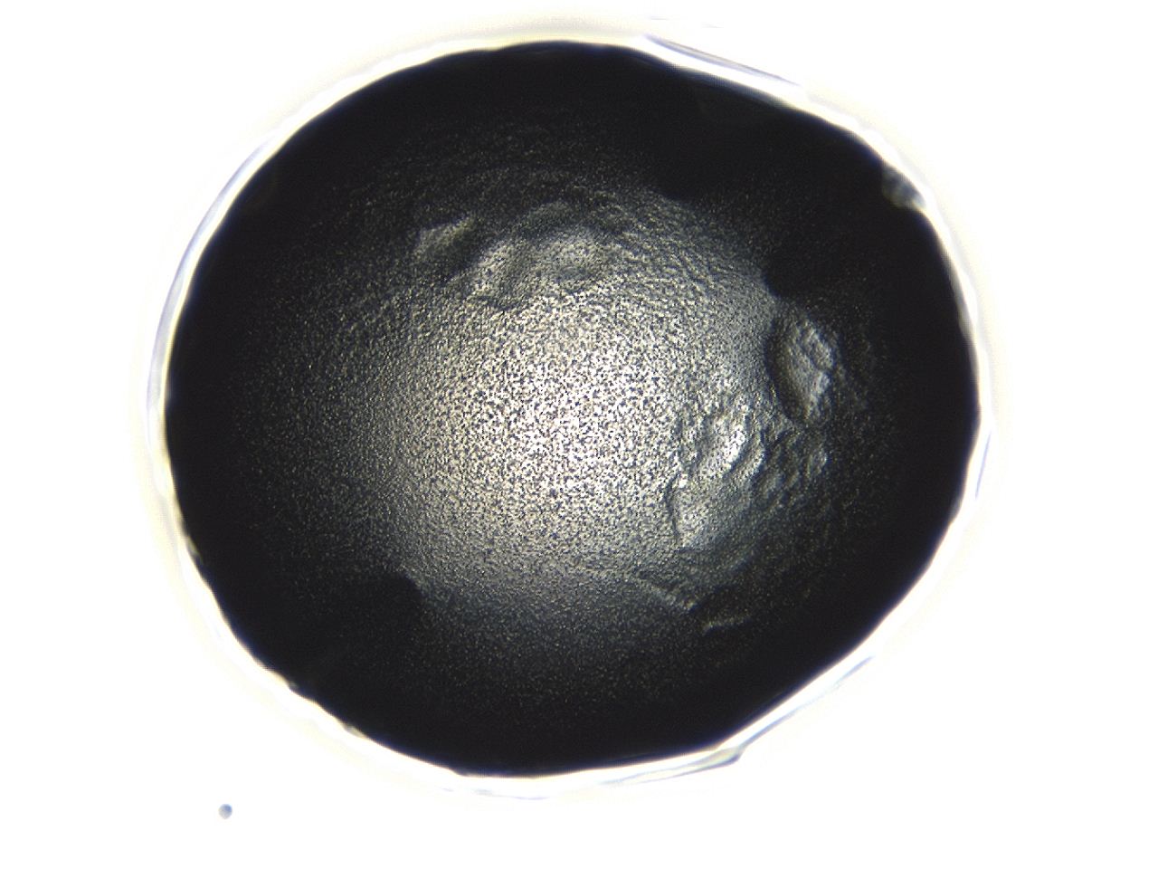 0493_B6_ImagerDefaults_3.jpg