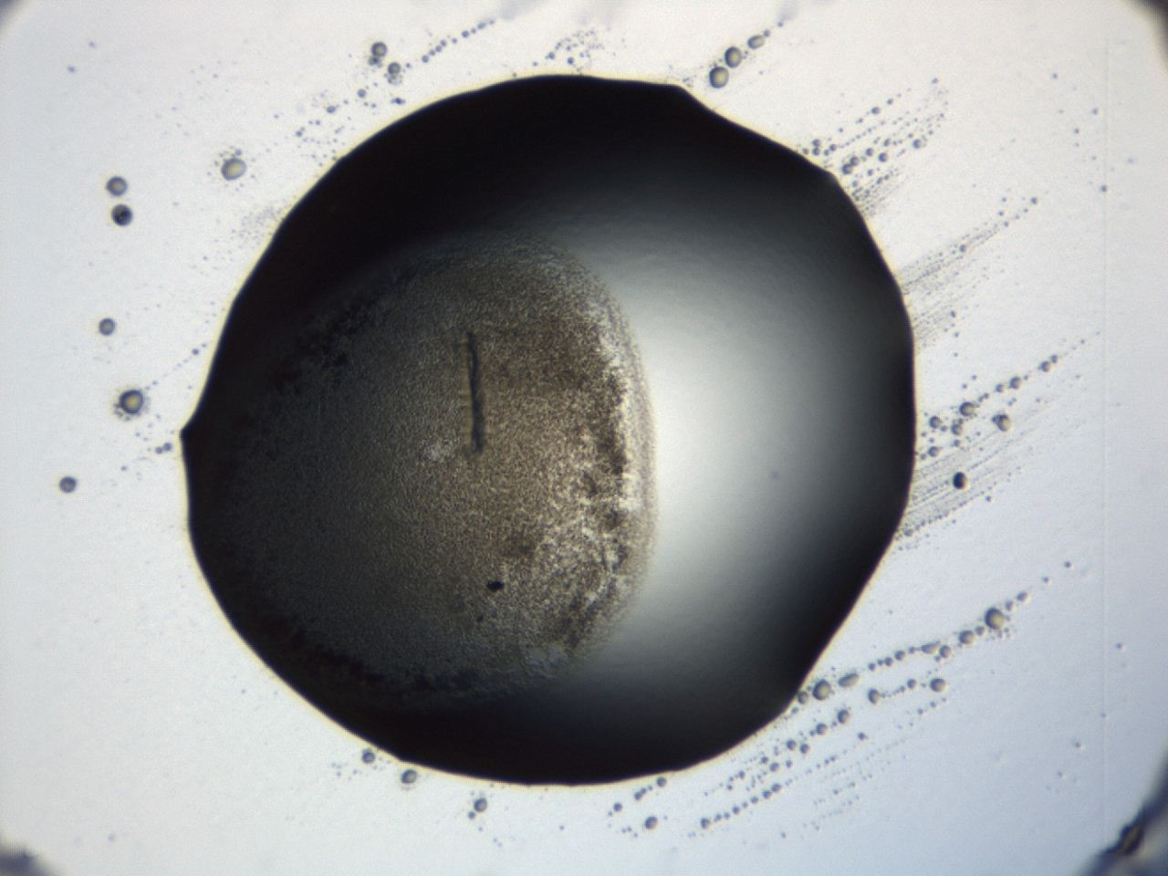0493_B7_ImagerDefaults_3.jpg