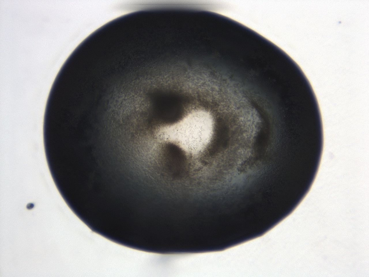 0493_B8_ImagerDefaults_3.jpg