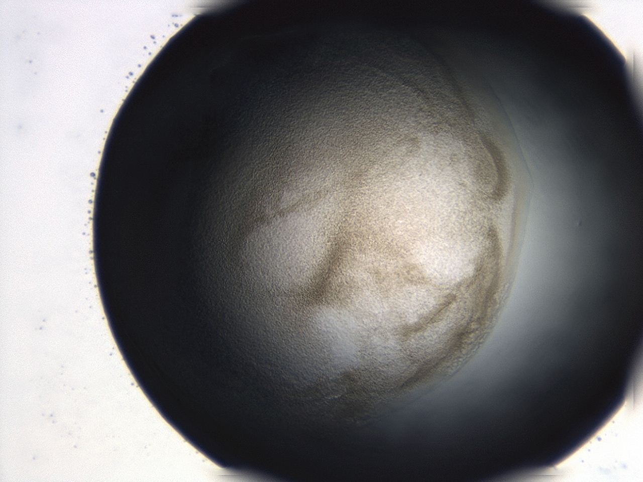 0493_B9_ImagerDefaults_3.jpg