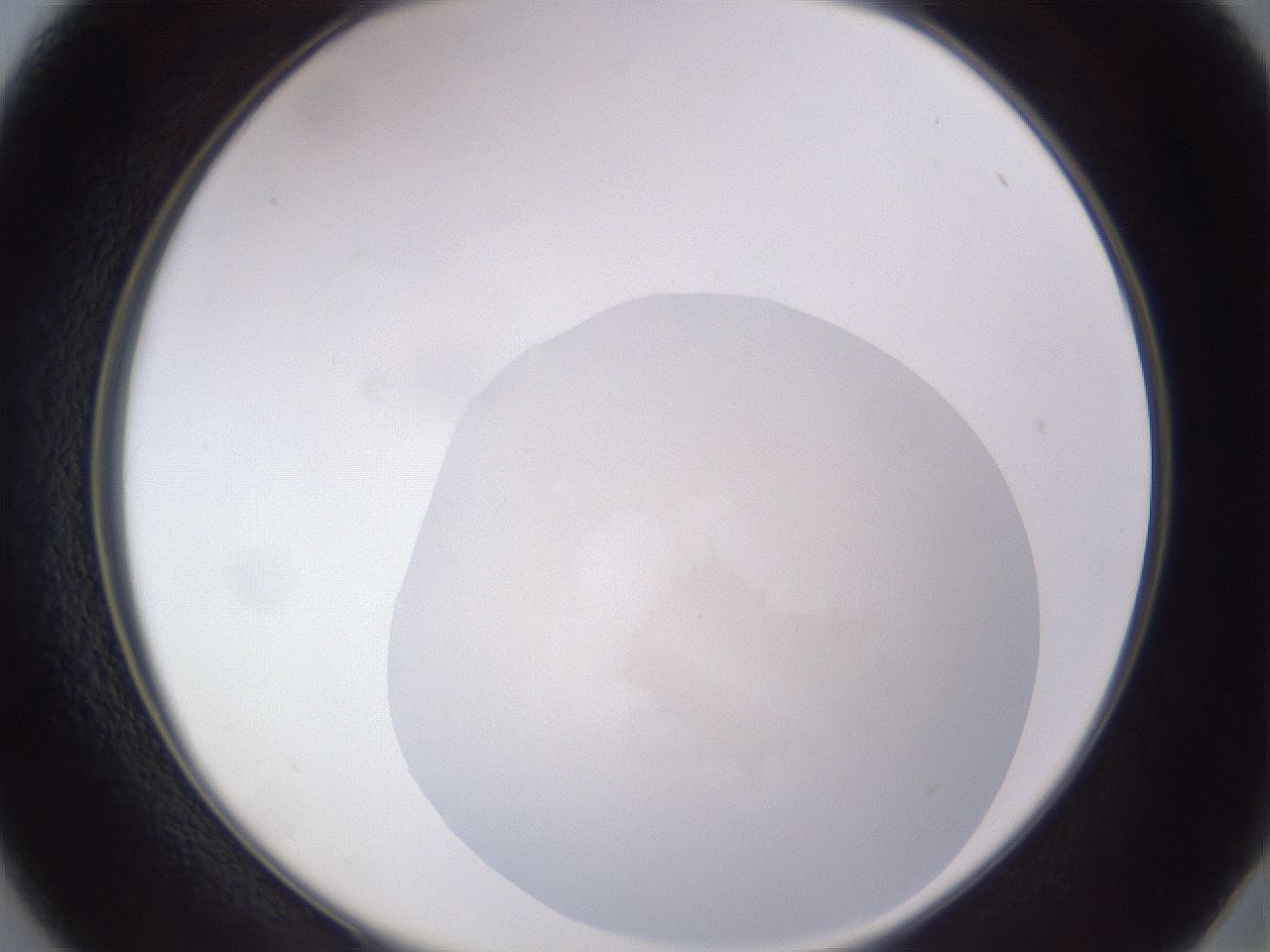 folderID513_plateID3513_batchID20658_wellNum37_profileID1_d2_r312462_ef.jpg