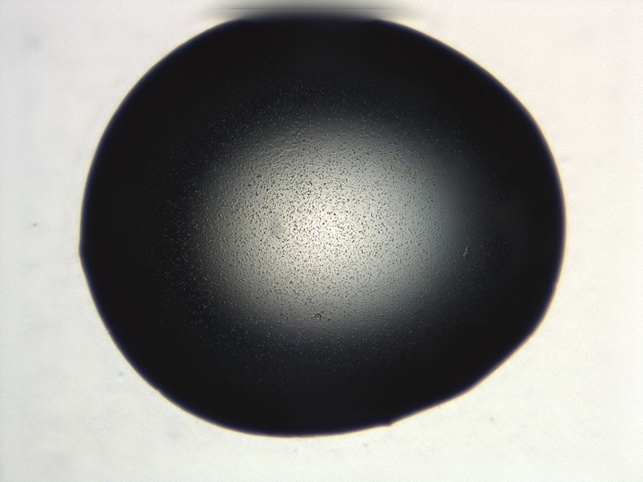 0493_B10_ImagerDefaults_3.jpg