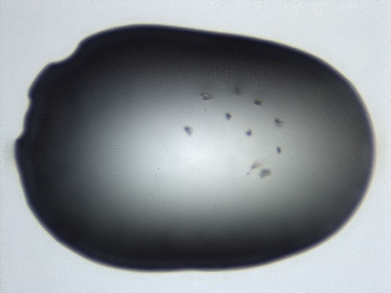 0493_C1_ImagerDefaults_0.jpg