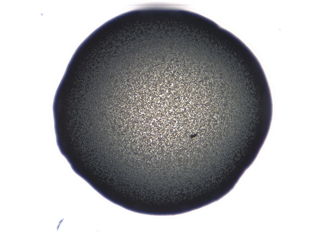 0493_C10_ImagerDefaults_3.jpg