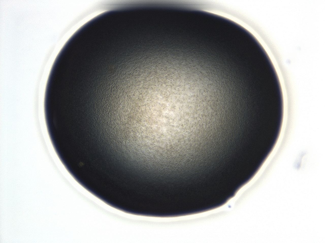 0493_C11_ImagerDefaults_3.jpg
