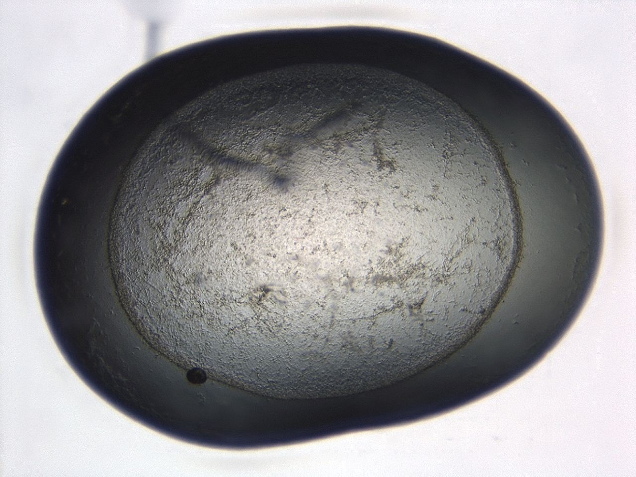 0493_D2_ImagerDefaults_3.jpg
