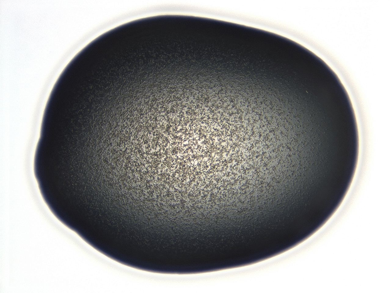 0493_D3_ImagerDefaults_3.jpg