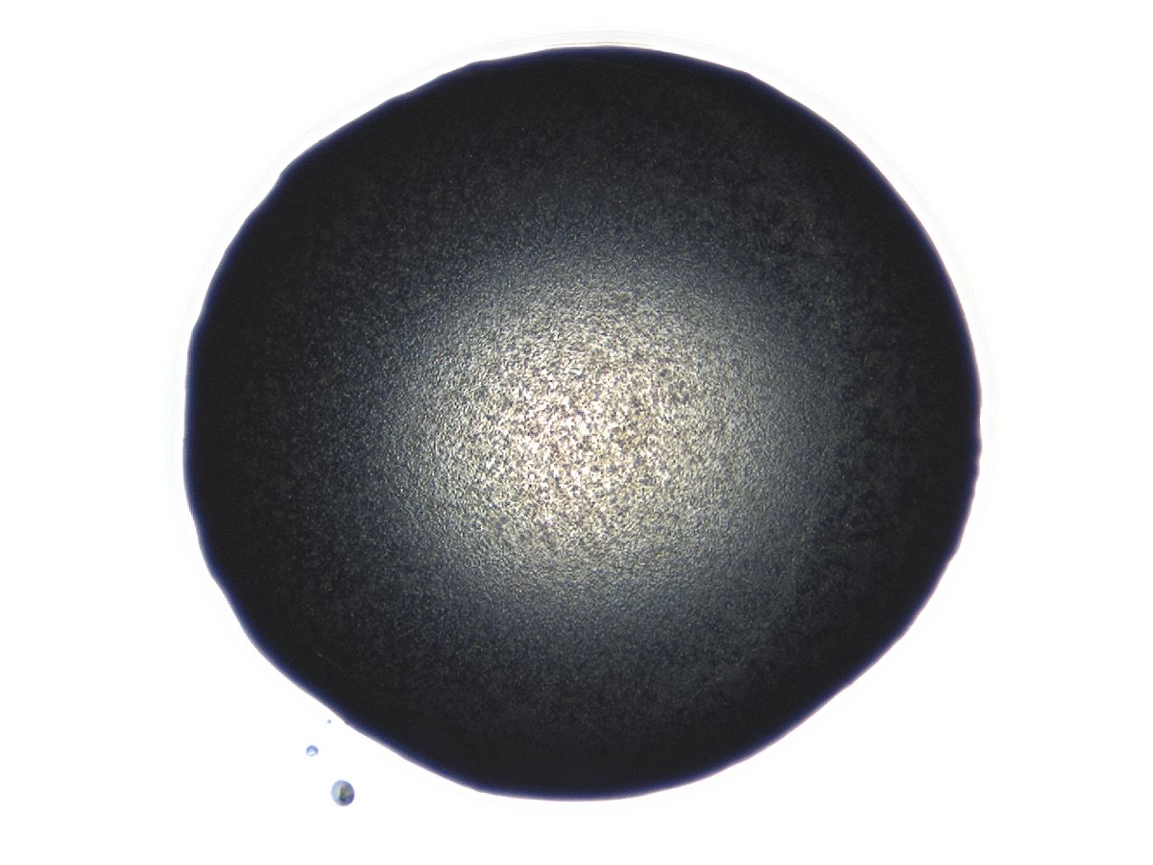 0493_D5_ImagerDefaults_3.jpg