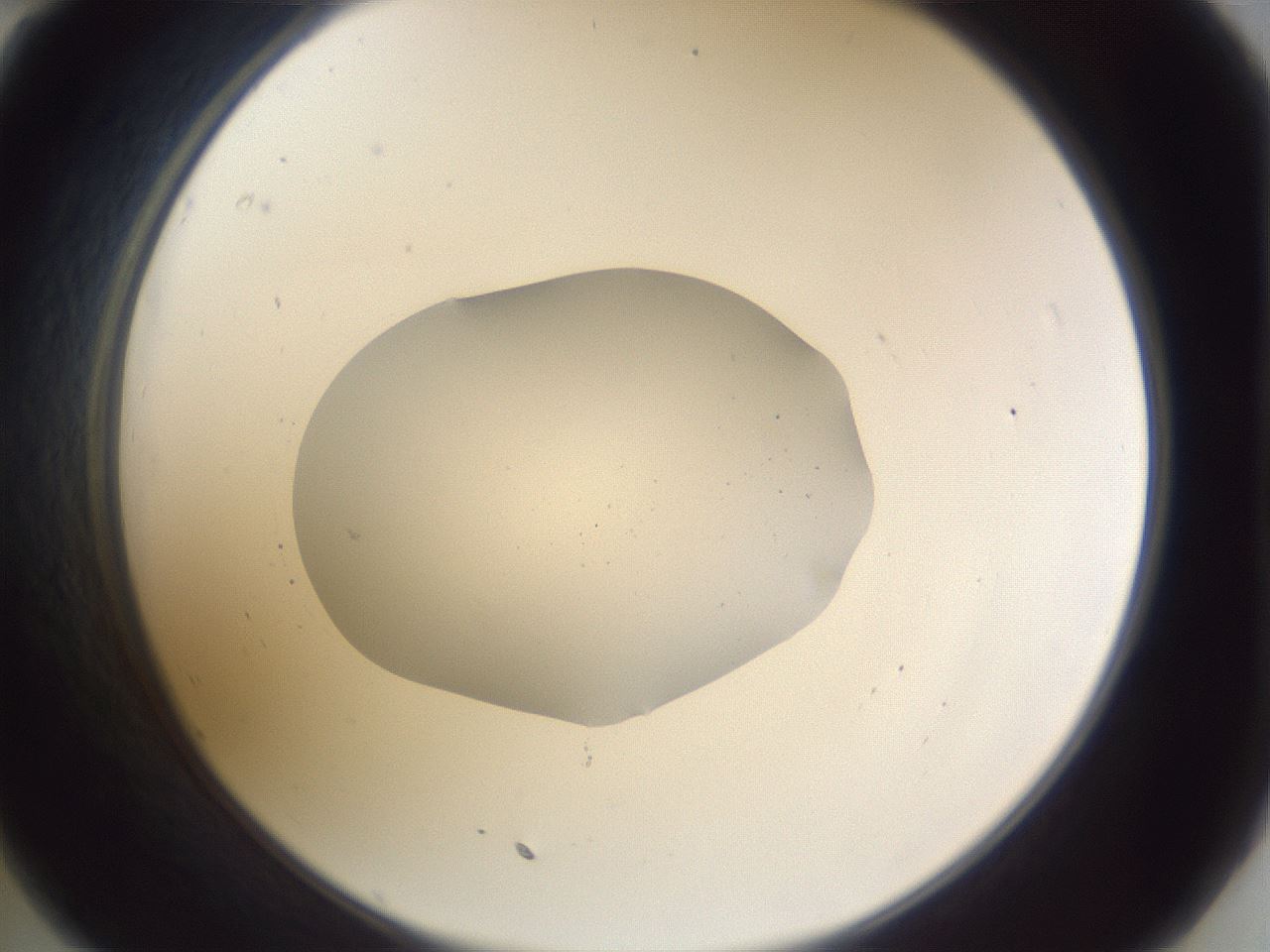 folderID514_plateID3514_batchID20635_wellNum35_profileID1_d2_r313035_ef.jpg