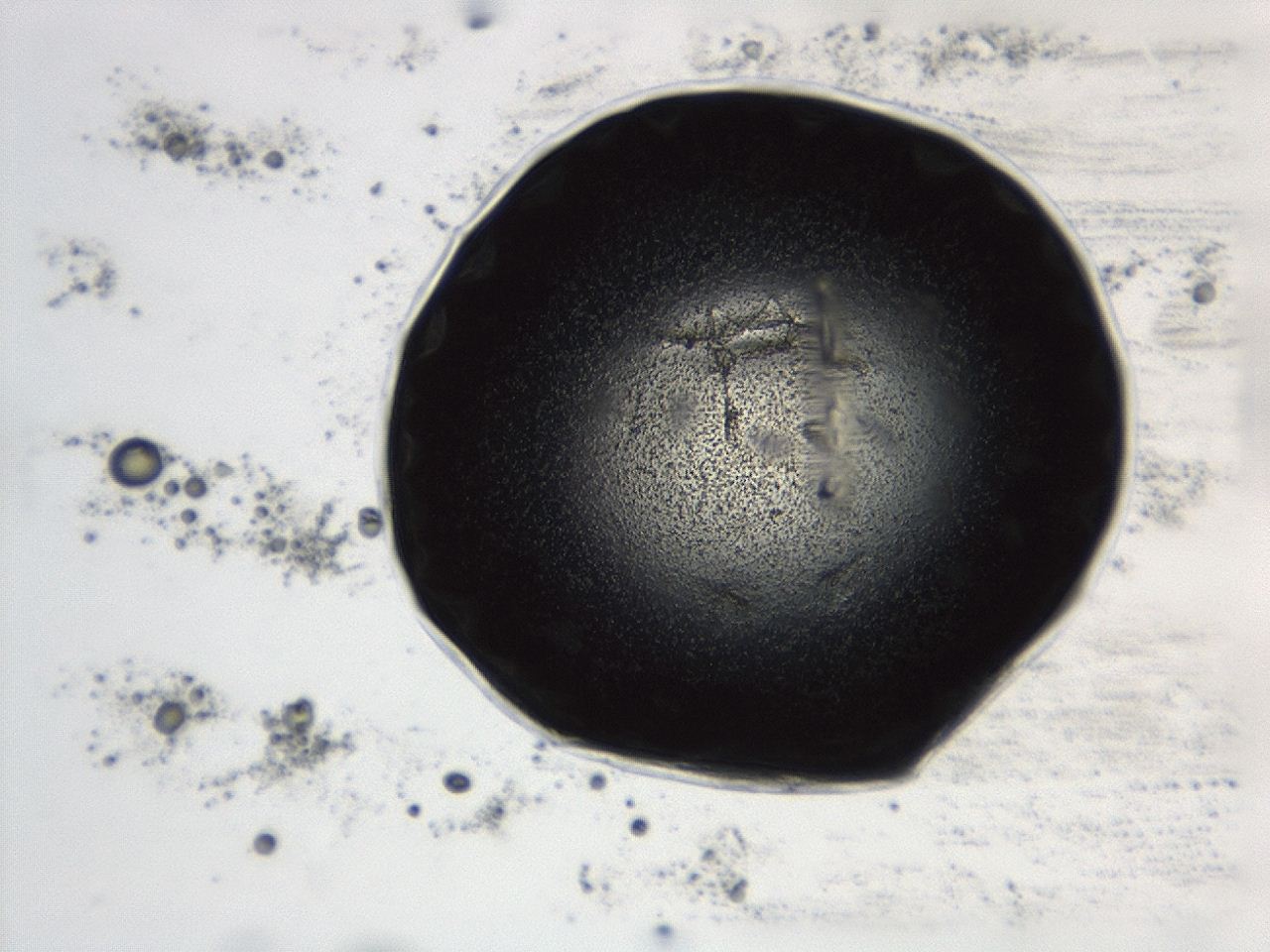 0493_D7_ImagerDefaults_3.jpg