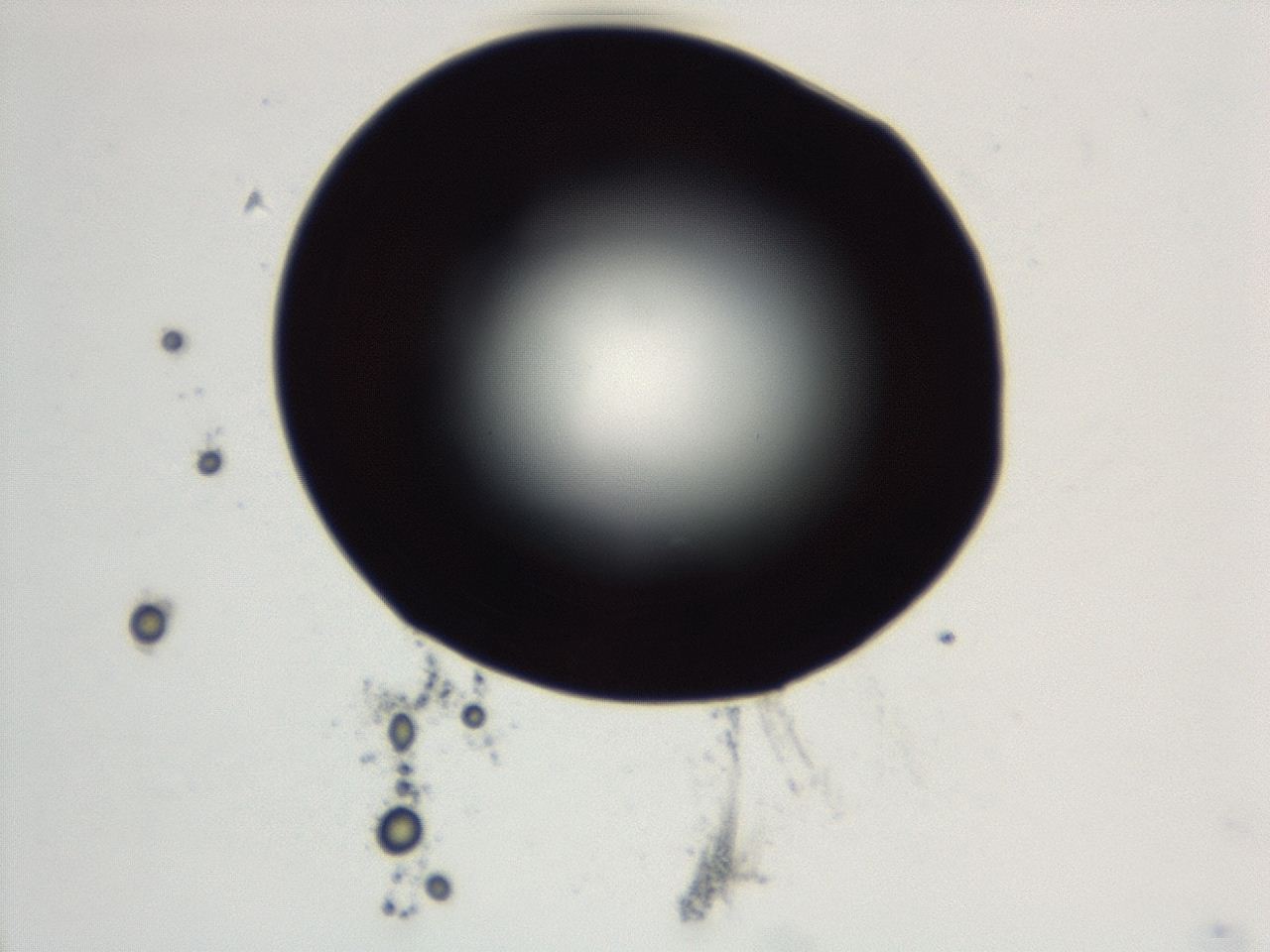 0493_D8_ImagerDefaults_0.jpg