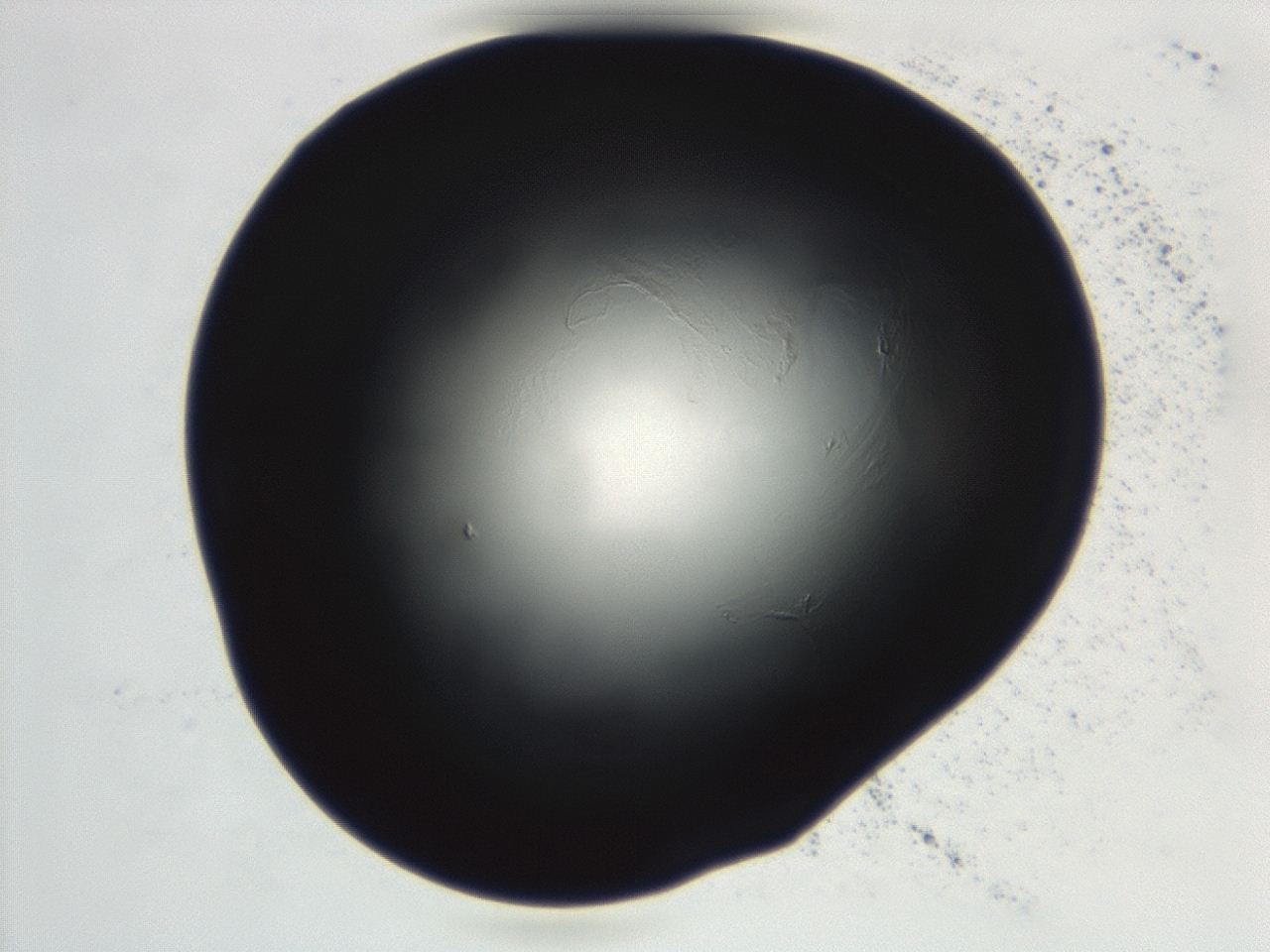 0493_D9_ImagerDefaults_0.jpg