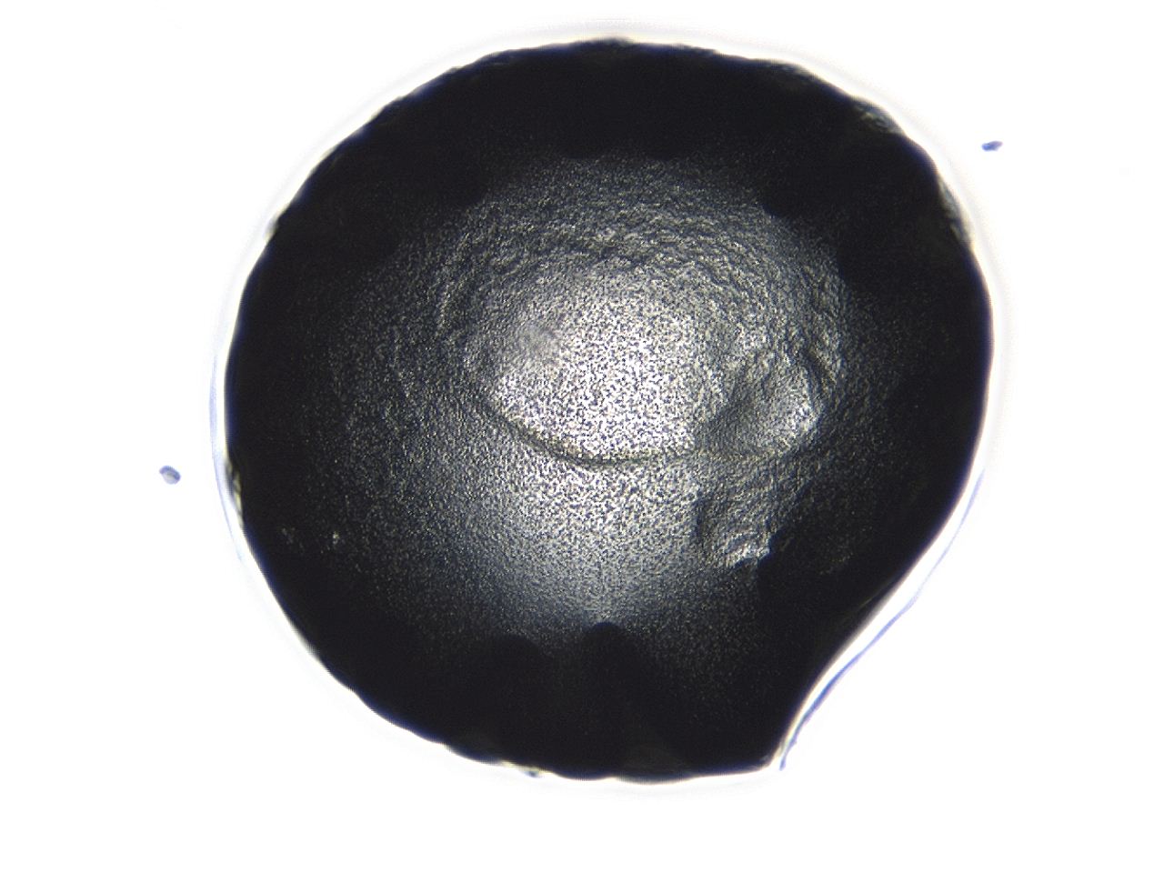 0493_D10_ImagerDefaults_3.jpg