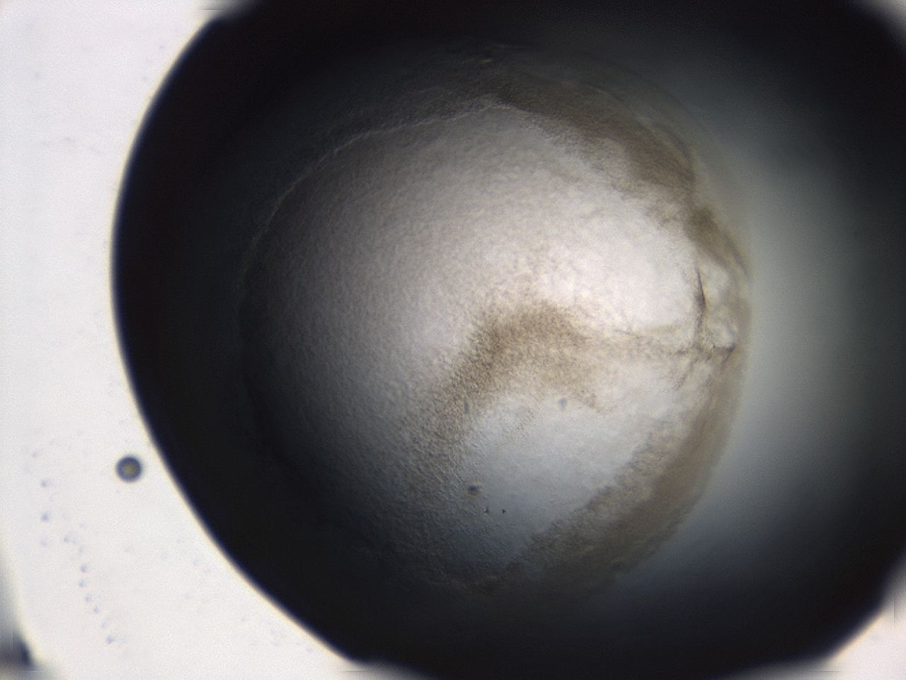 0493_C2_ImagerDefaults_3.jpg