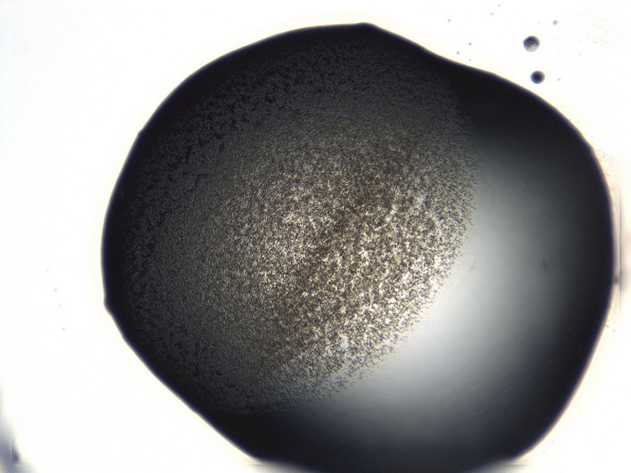 0493_C3_ImagerDefaults_3.jpg