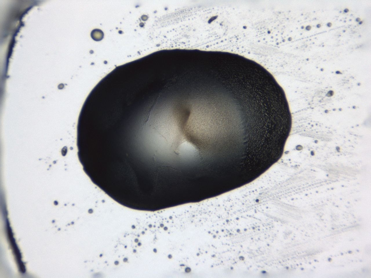 0493_C4_ImagerDefaults_9.jpg