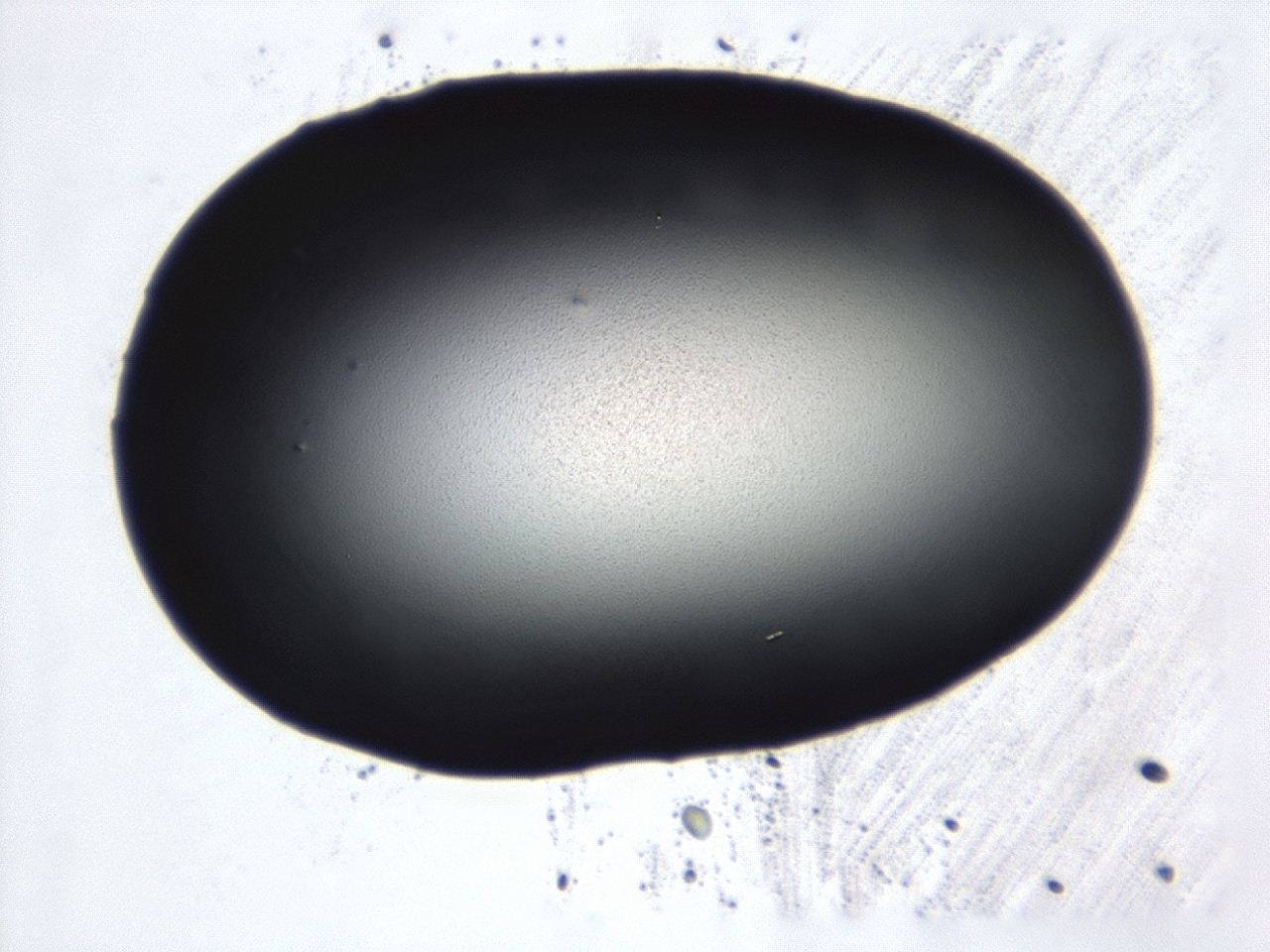 0493_C5_ImagerDefaults_0.jpg