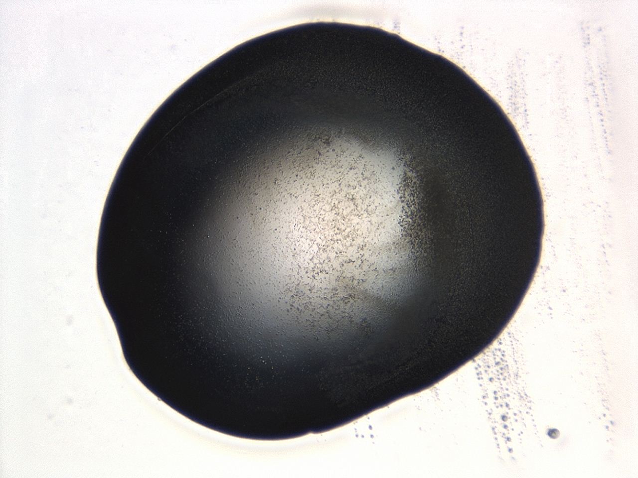 0493_C6_ImagerDefaults_3.jpg