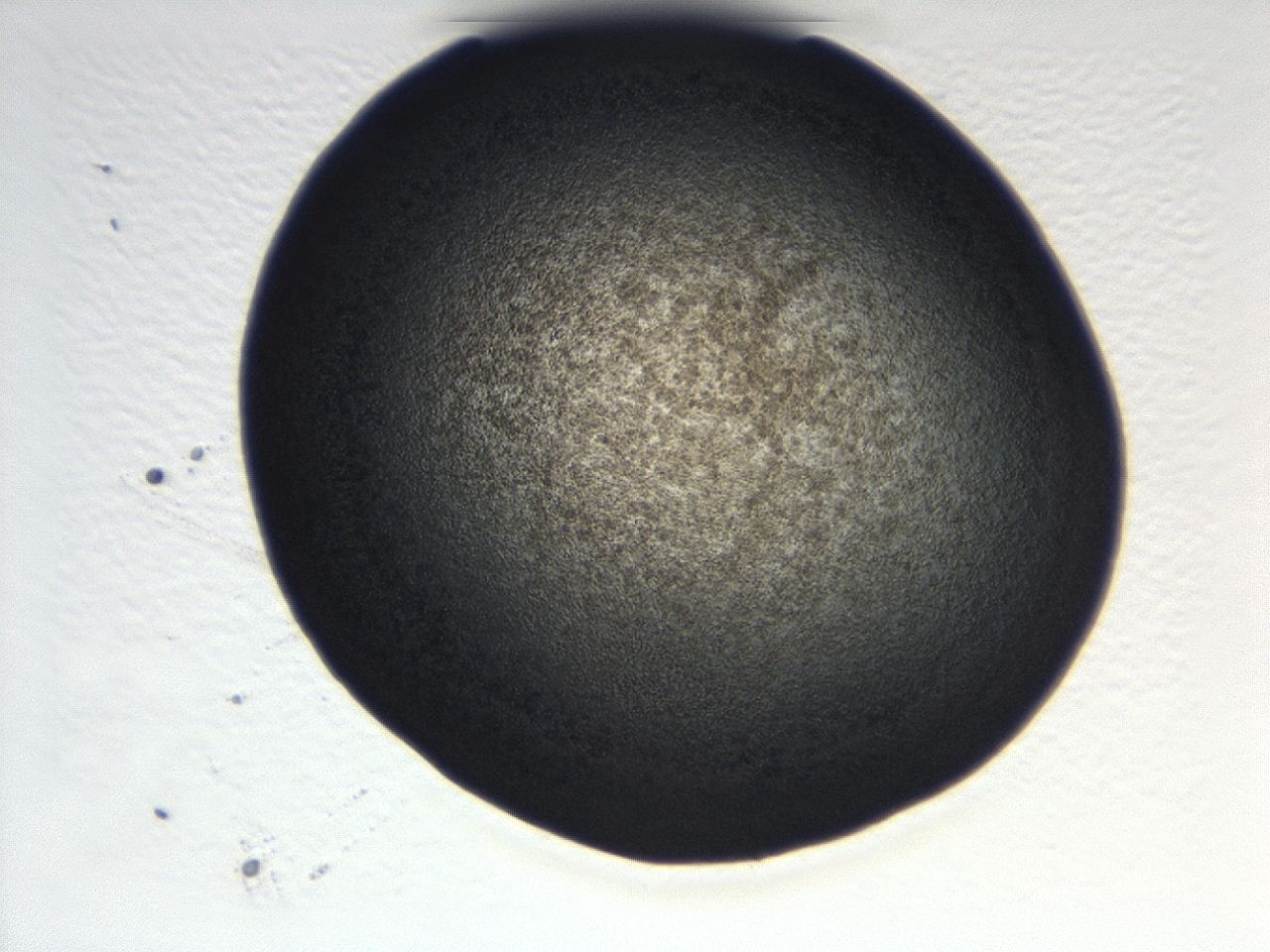 0493_C8_ImagerDefaults_3.jpg