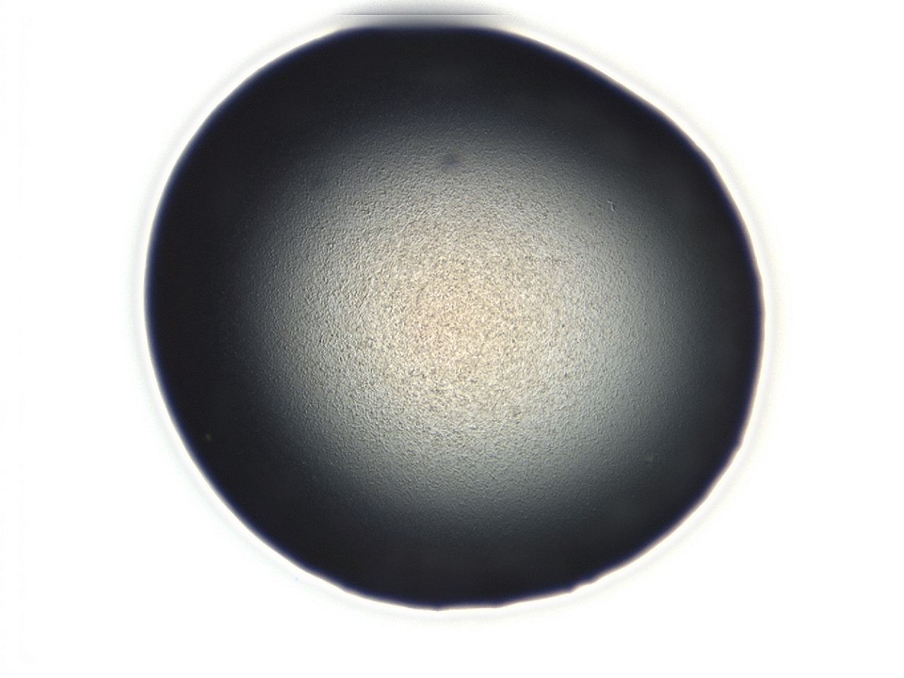 0493_C9_ImagerDefaults_0.jpg