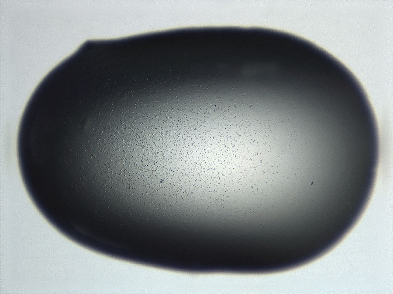 0493_E1_ImagerDefaults_0.jpg