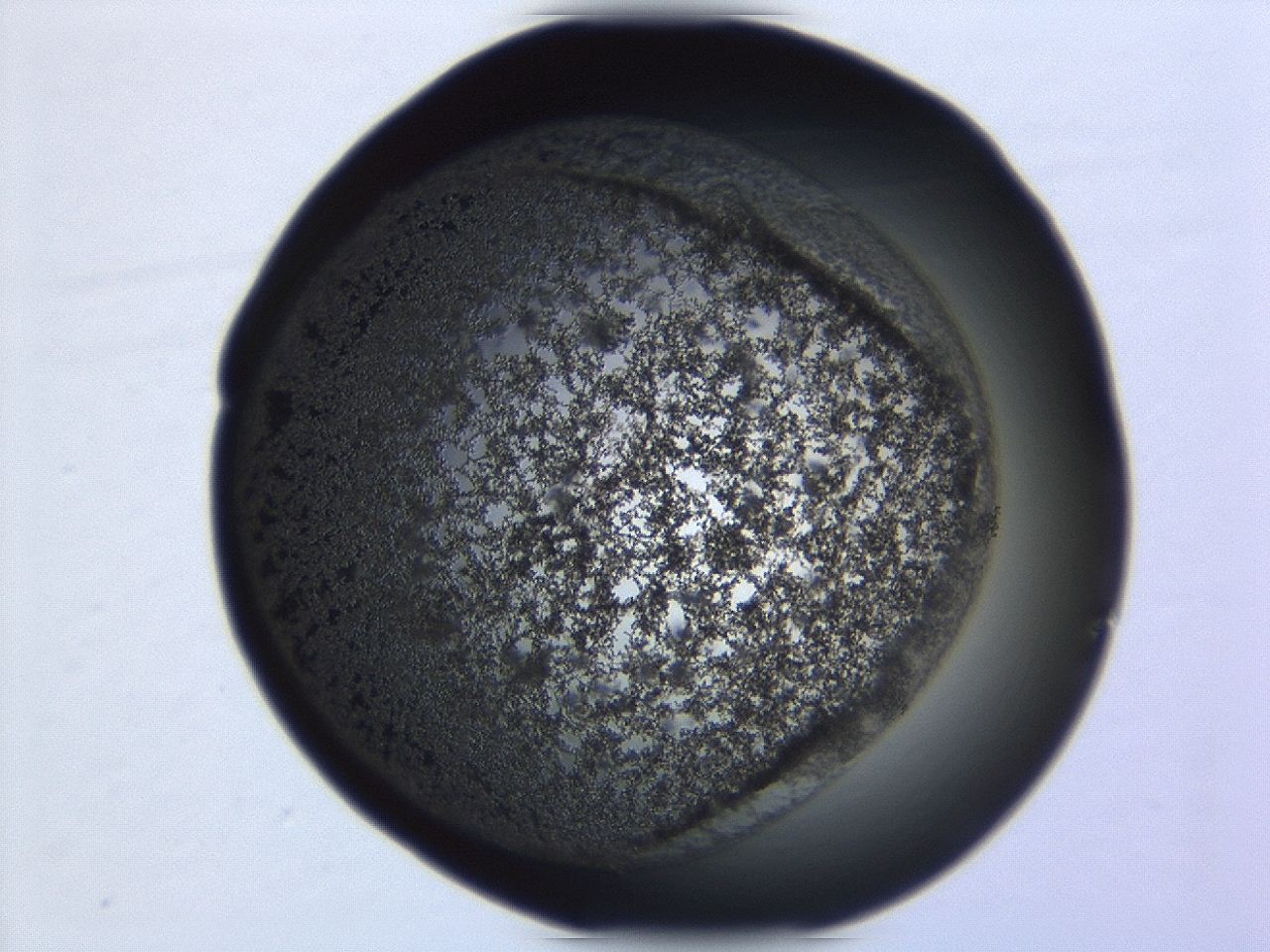 0493_E2_ImagerDefaults_3.jpg