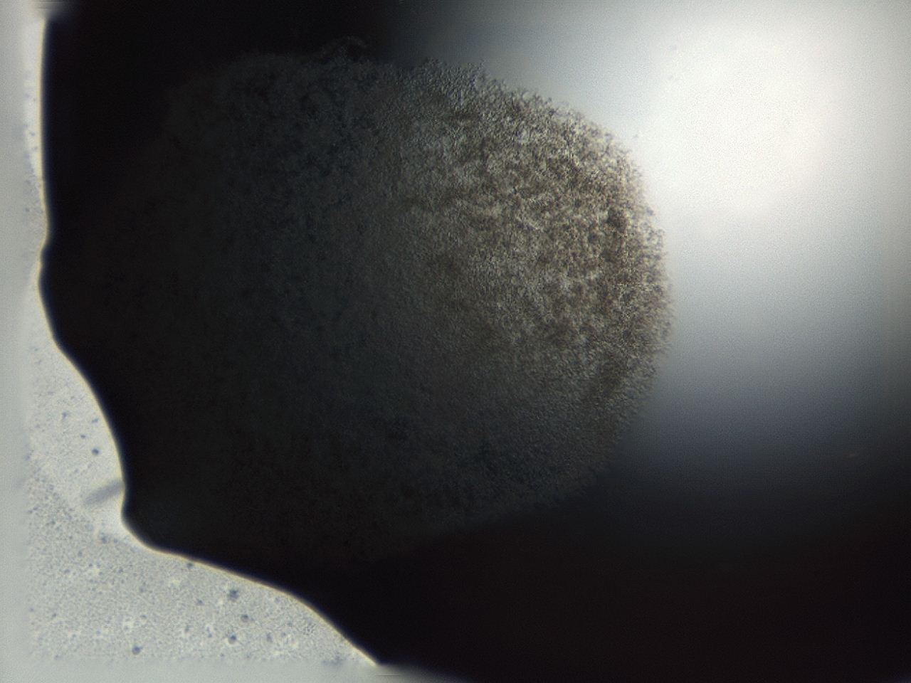 0493_E4_ImagerDefaults_3.jpg