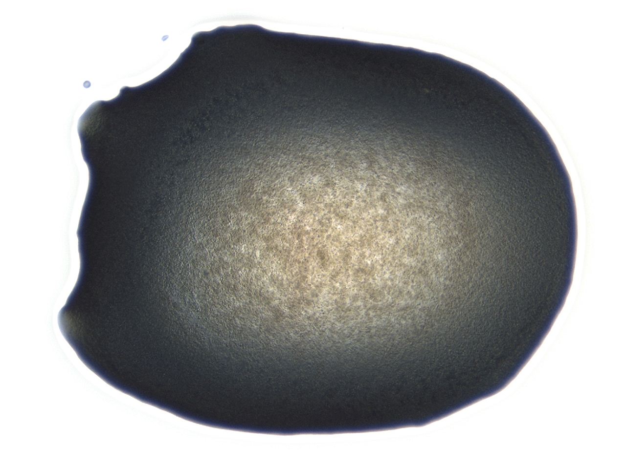 0493_E5_ImagerDefaults_3.jpg