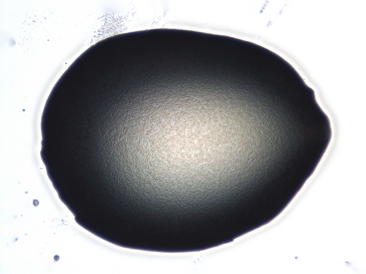 0493_E6_ImagerDefaults_3.jpg