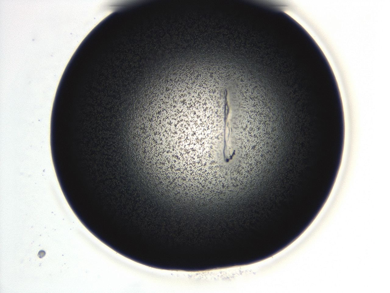 0493_E7_ImagerDefaults_3.jpg