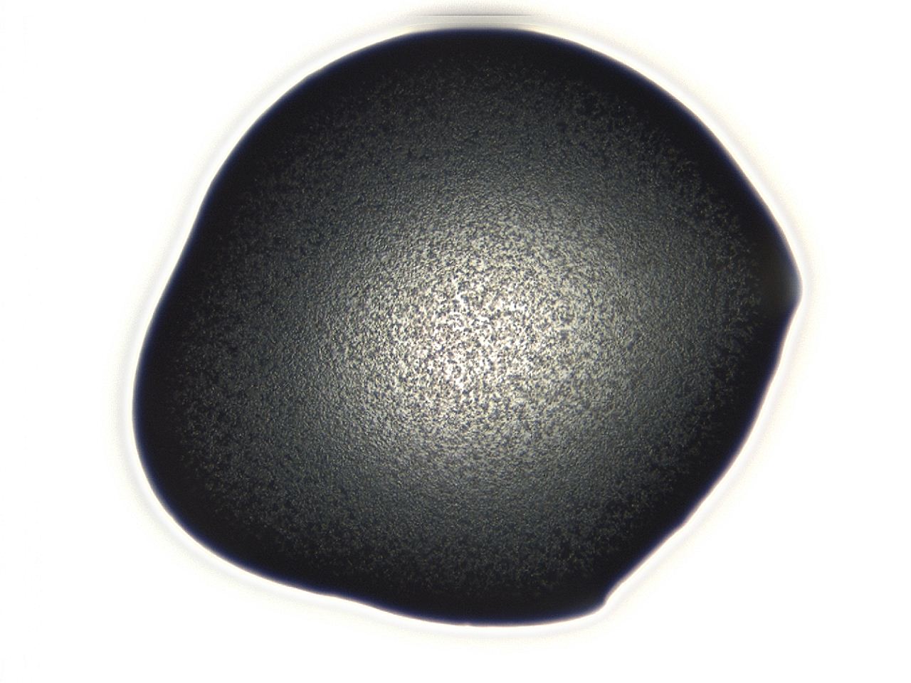 0493_E8_ImagerDefaults_3.jpg
