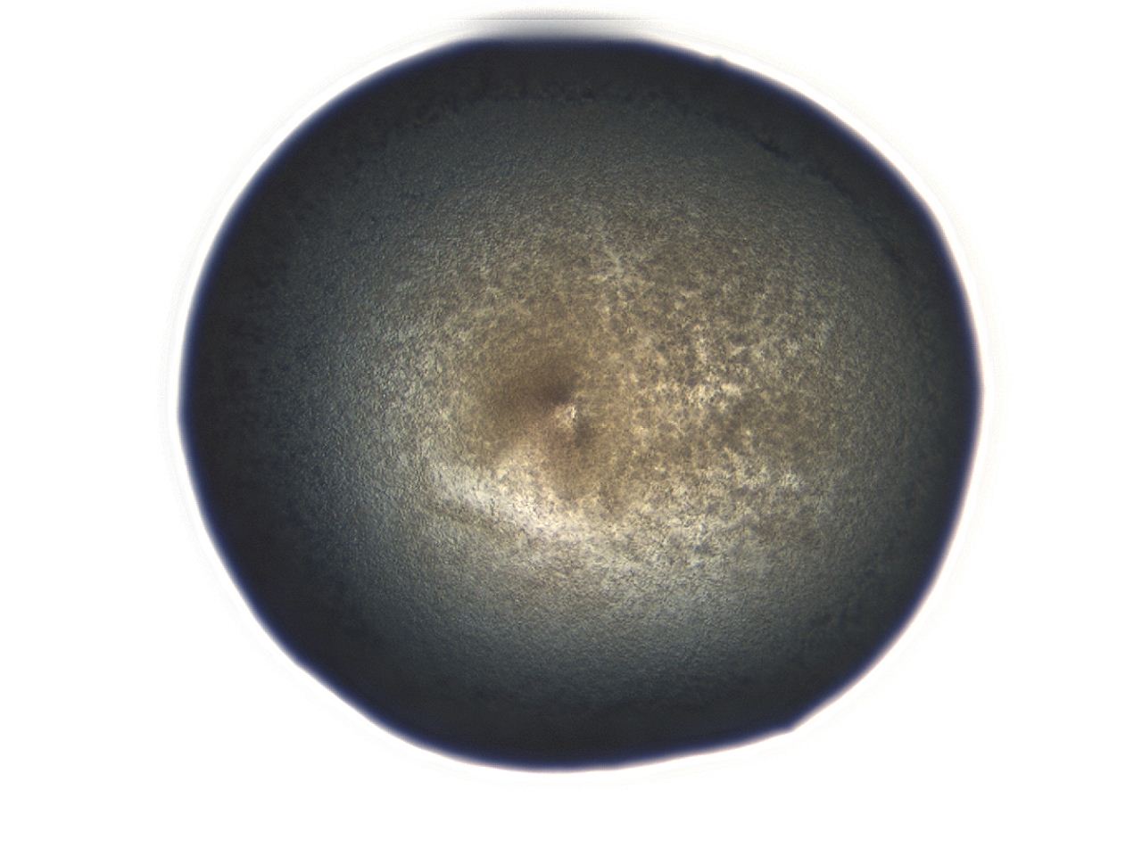 0493_E9_ImagerDefaults_3.jpg