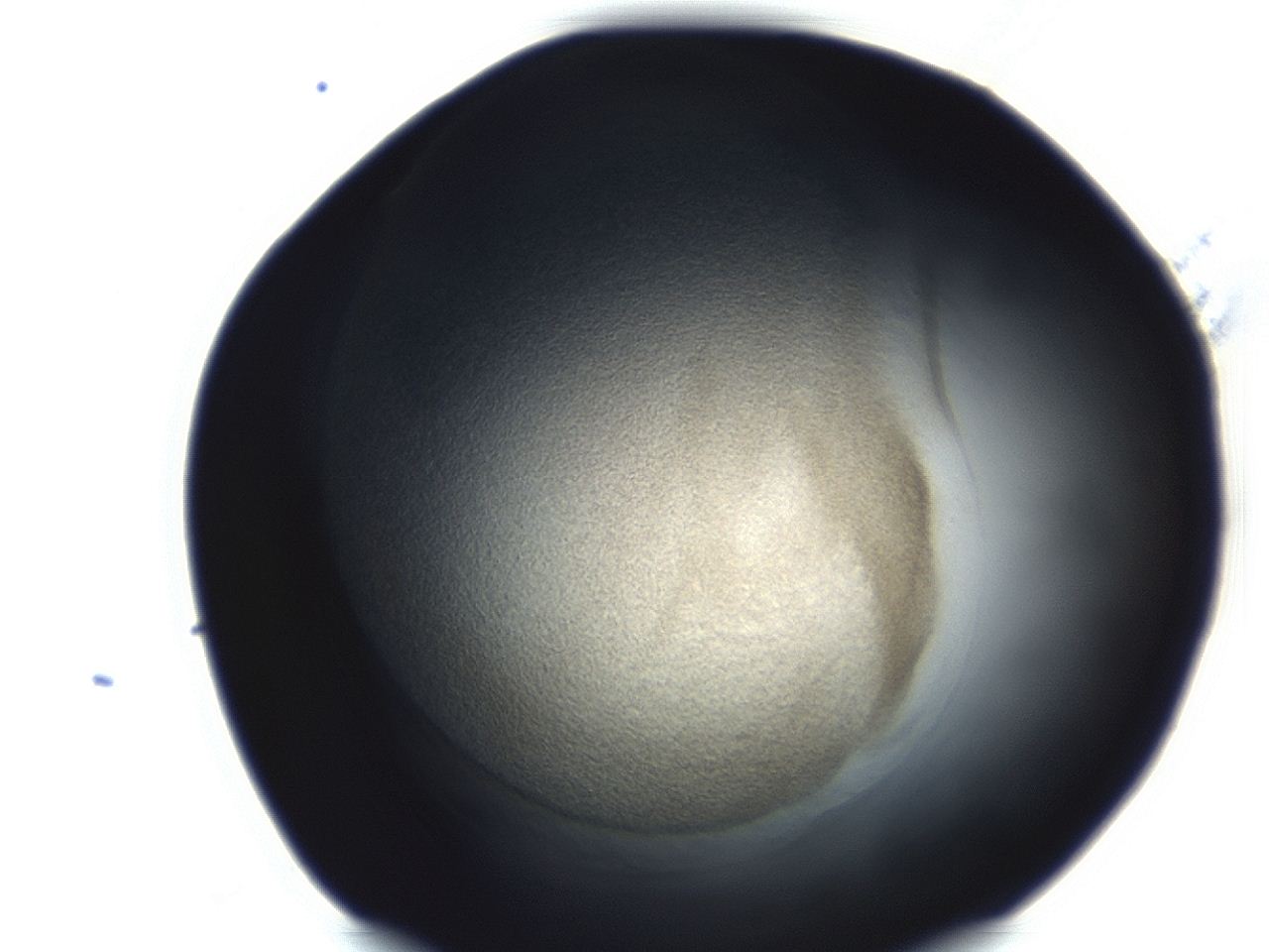 0493_E10_ImagerDefaults_3.jpg