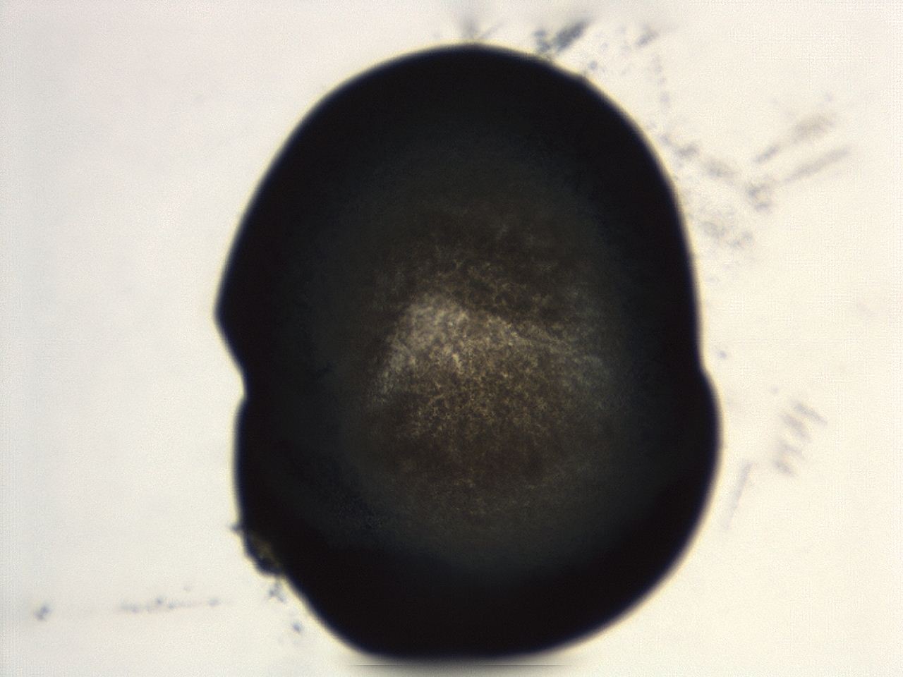 0493_E11_ImagerDefaults_3.jpg