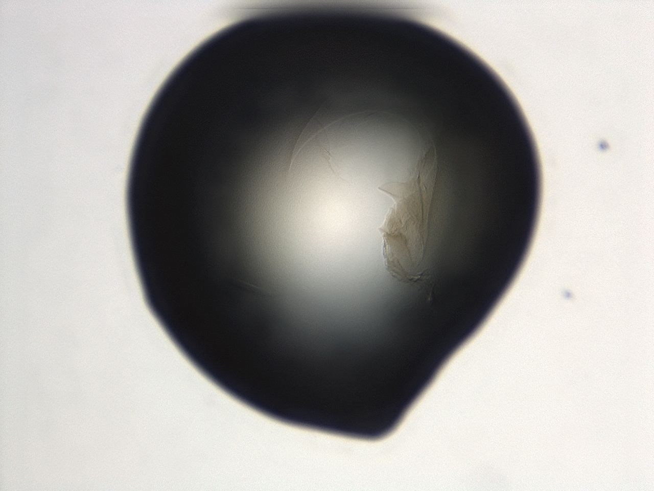 0493_E12_ImagerDefaults_3.jpg