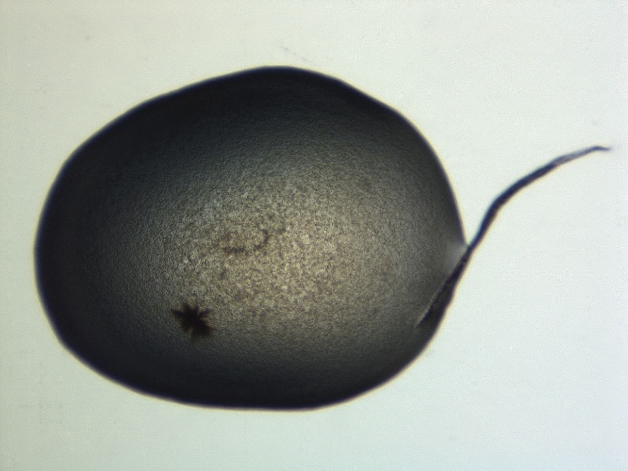 0493_F2_ImagerDefaults_3.jpg
