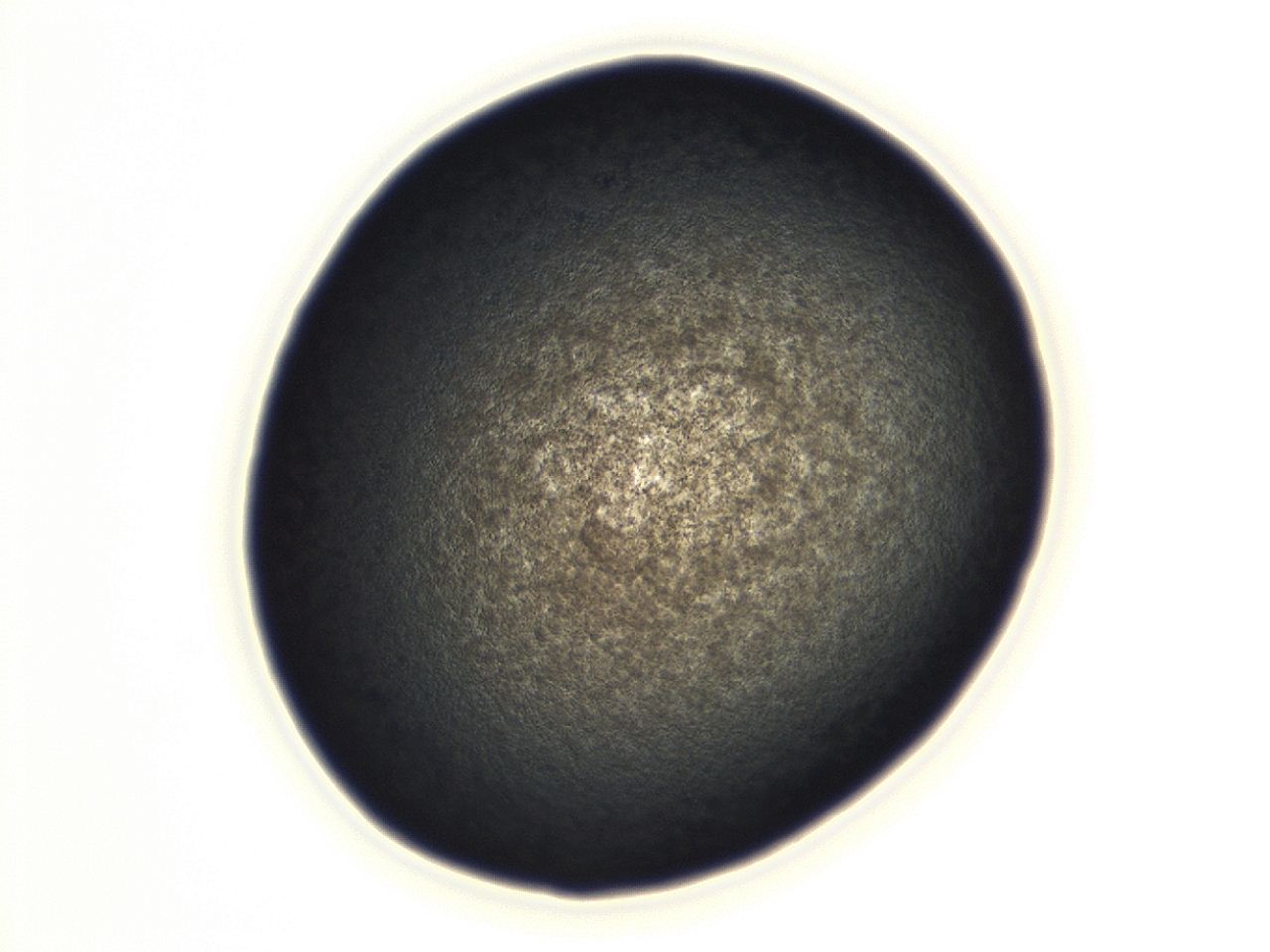 0493_F3_ImagerDefaults_3.jpg