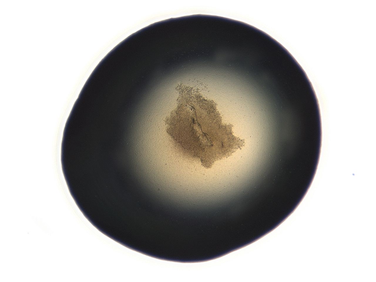 0493_F4_ImagerDefaults_3.jpg