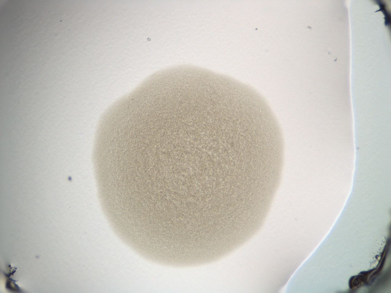 0493_F5_ImagerDefaults_3.jpg