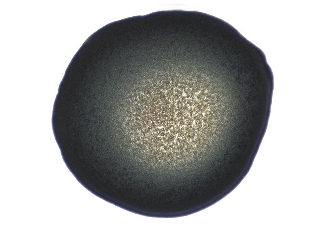 0493_F6_ImagerDefaults_3.jpg