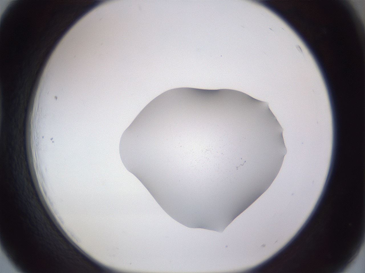 folderID515_plateID3515_batchID22116_wellNum39_profileID1_d1_r313618_ef.jpg