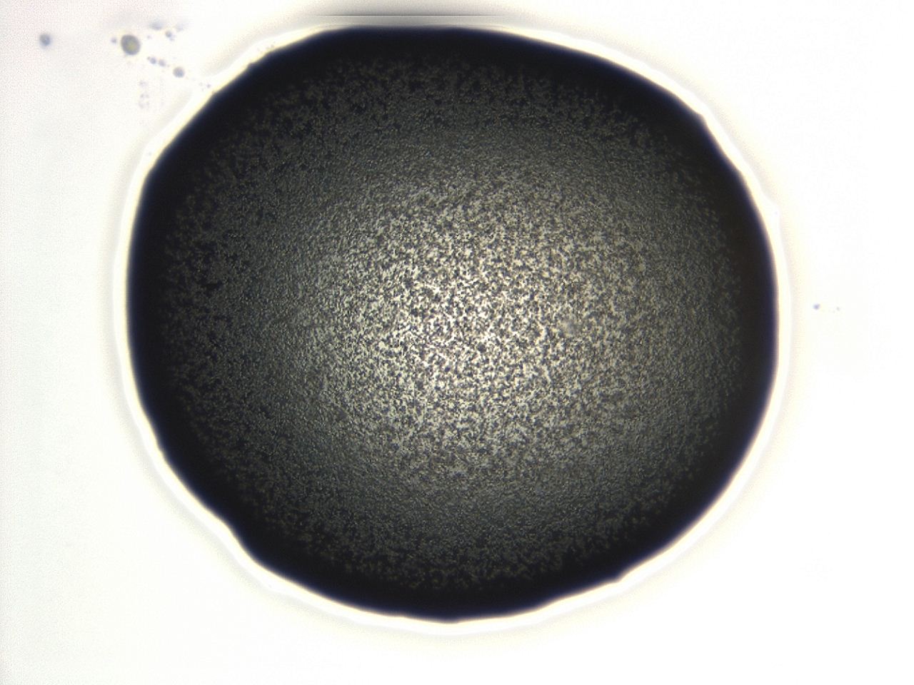 0493_F9_ImagerDefaults_3.jpg