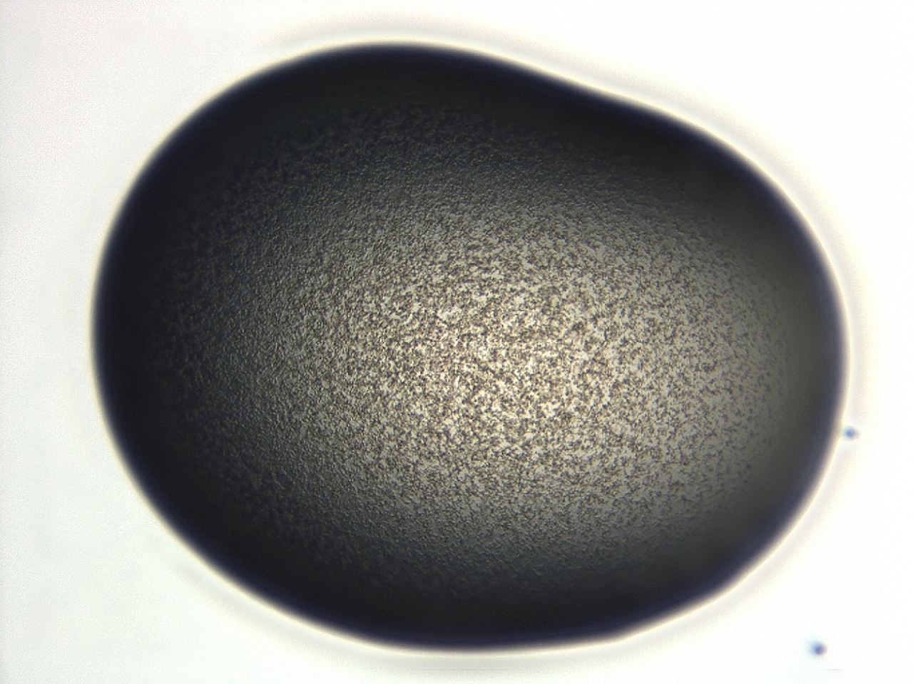 0493_G1_ImagerDefaults_3.jpg
