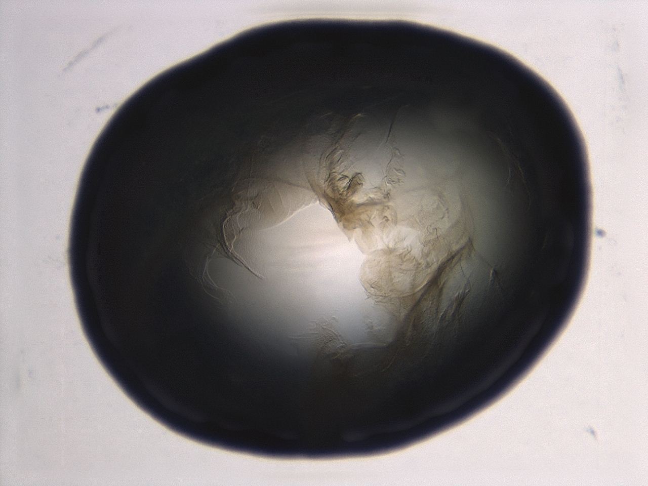 0493_G3_ImagerDefaults_3.jpg