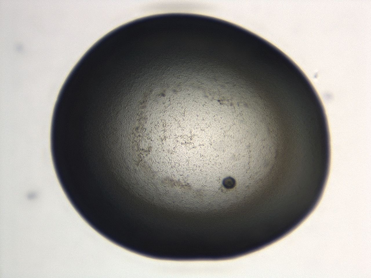 0493_G4_ImagerDefaults_3.jpg