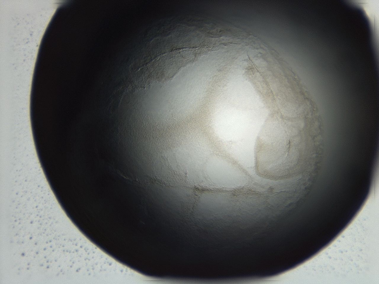 0493_G5_ImagerDefaults_3.jpg