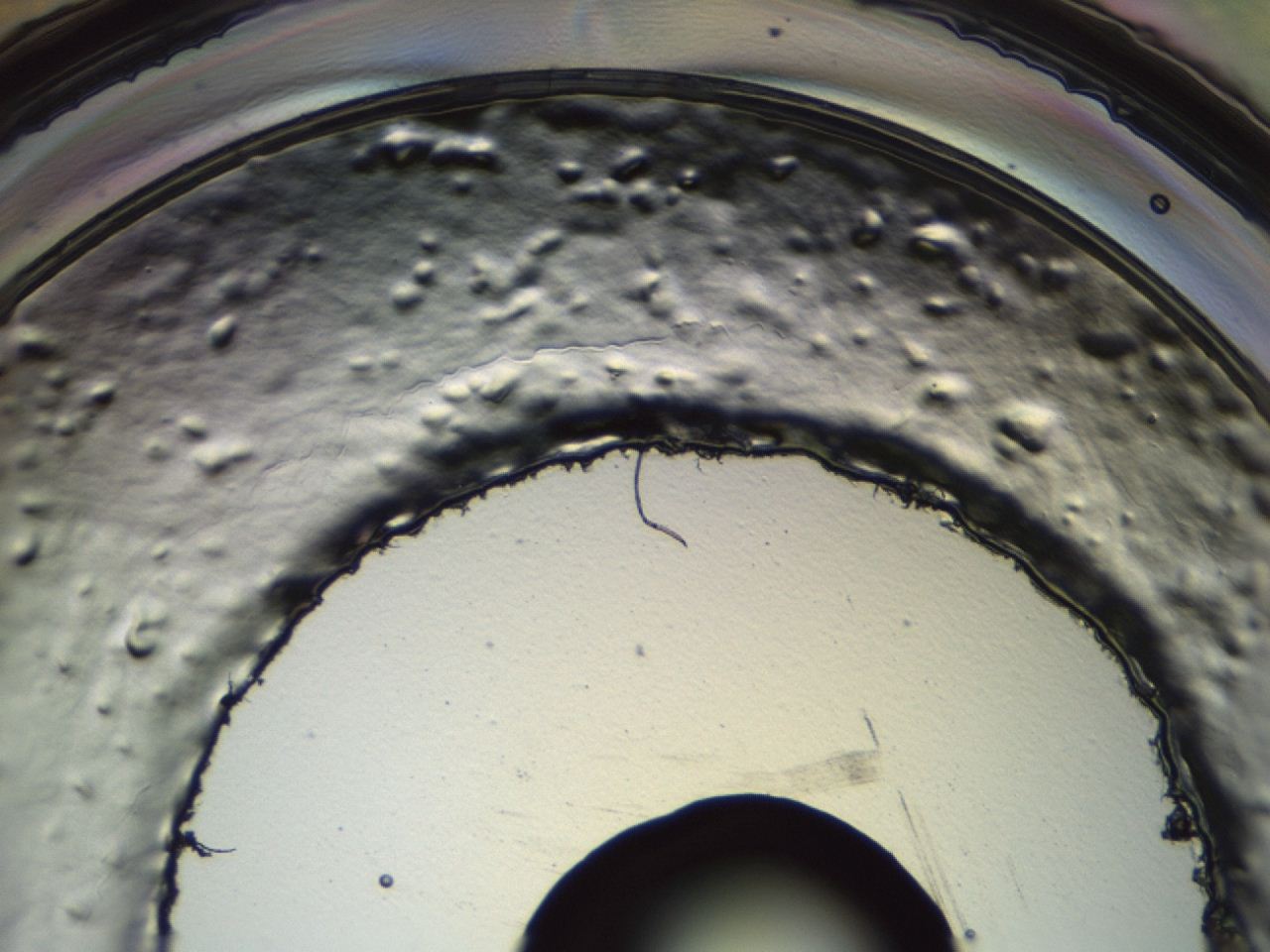 0493_G6_ImagerDefaults_0.jpg
